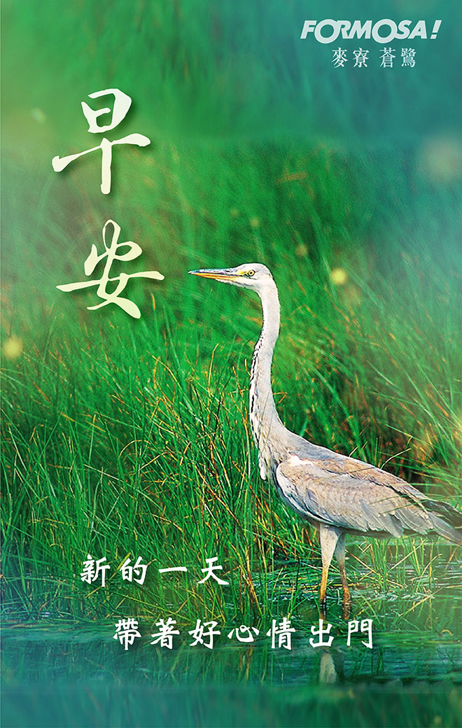 長輩圖！LINE長輩圖免費下載-FORMOSA！貼圖酷
