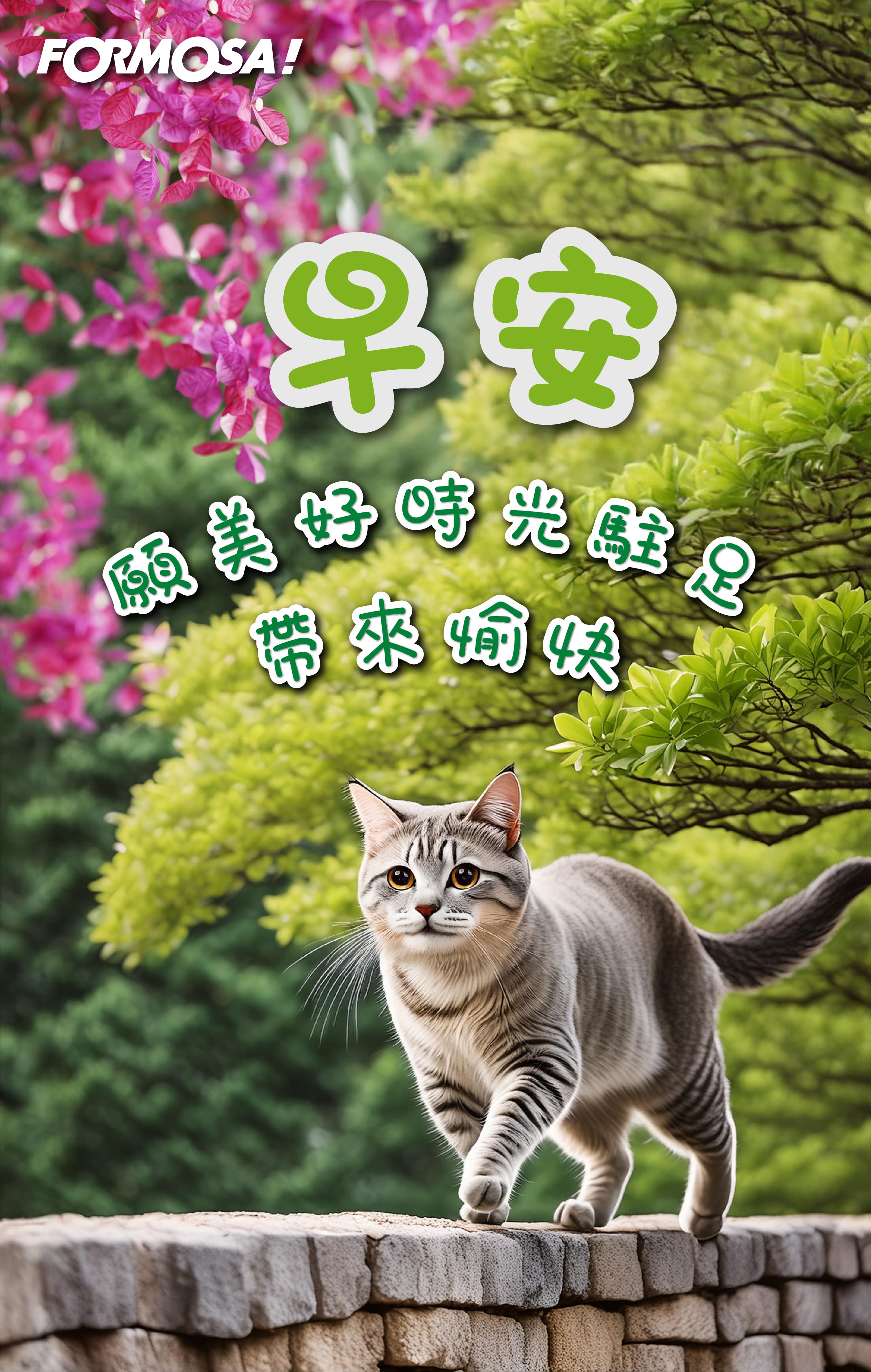 最新早安圖！LINE長輩圖免費下載-FORMOSA!貼圖酷