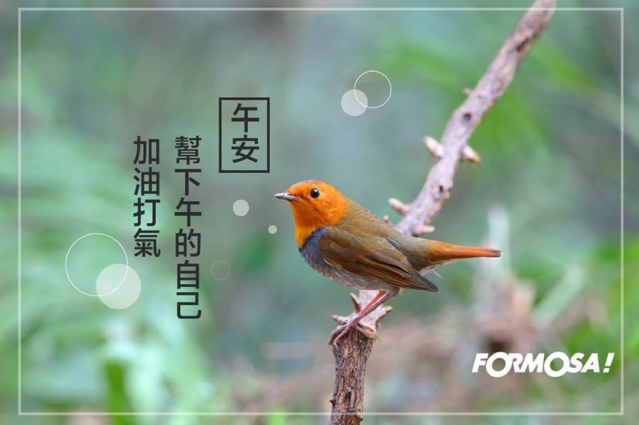 長輩圖！LINE長輩圖免費下載-FORMOSA！貼圖酷