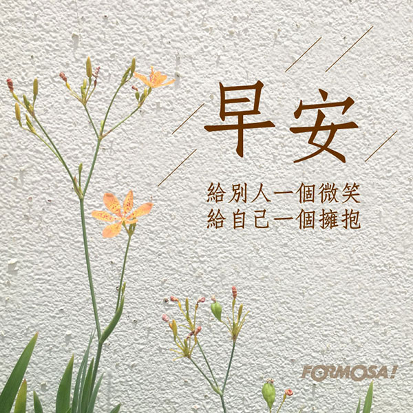 LINE日常問候圖免費下載-FORMOSA!貼圖酷