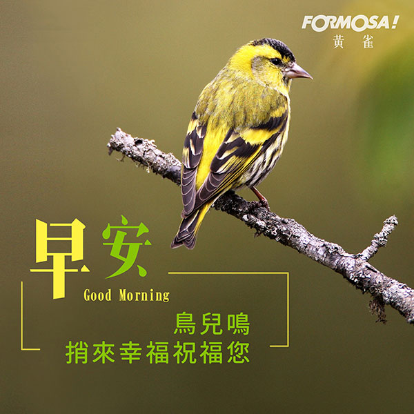 LINE日常問候圖免費下載-FORMOSA!貼圖酷