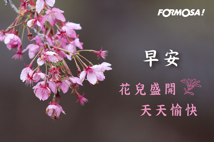 LINE日常問候圖免費下載-FORMOSA!貼圖酷