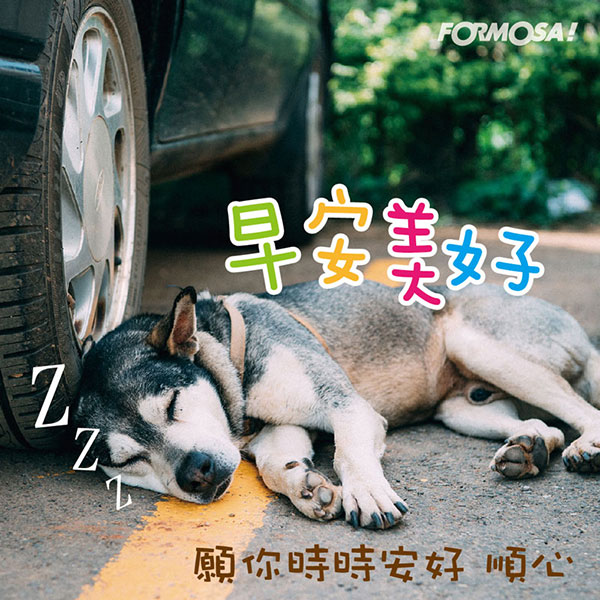 LINE日常問候圖免費下載-FORMOSA!貼圖酷