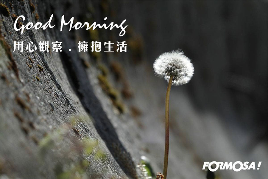 LINE日常問候圖免費下載-FORMOSA!貼圖酷