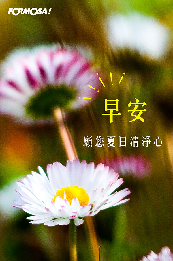 LINE日常問候圖免費下載-FORMOSA!貼圖酷