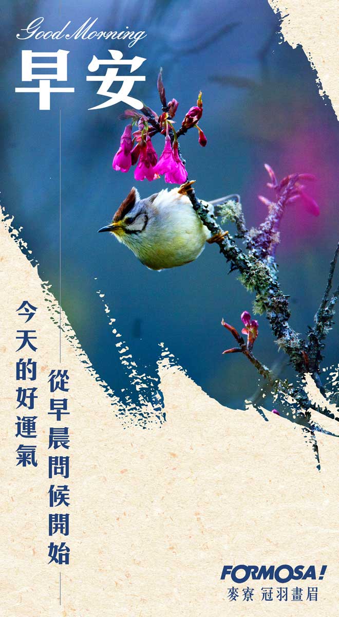 LINE日常問候圖免費下載-FORMOSA!貼圖酷