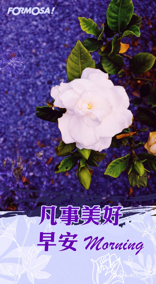 LINE日常問候圖免費下載-FORMOSA!貼圖酷