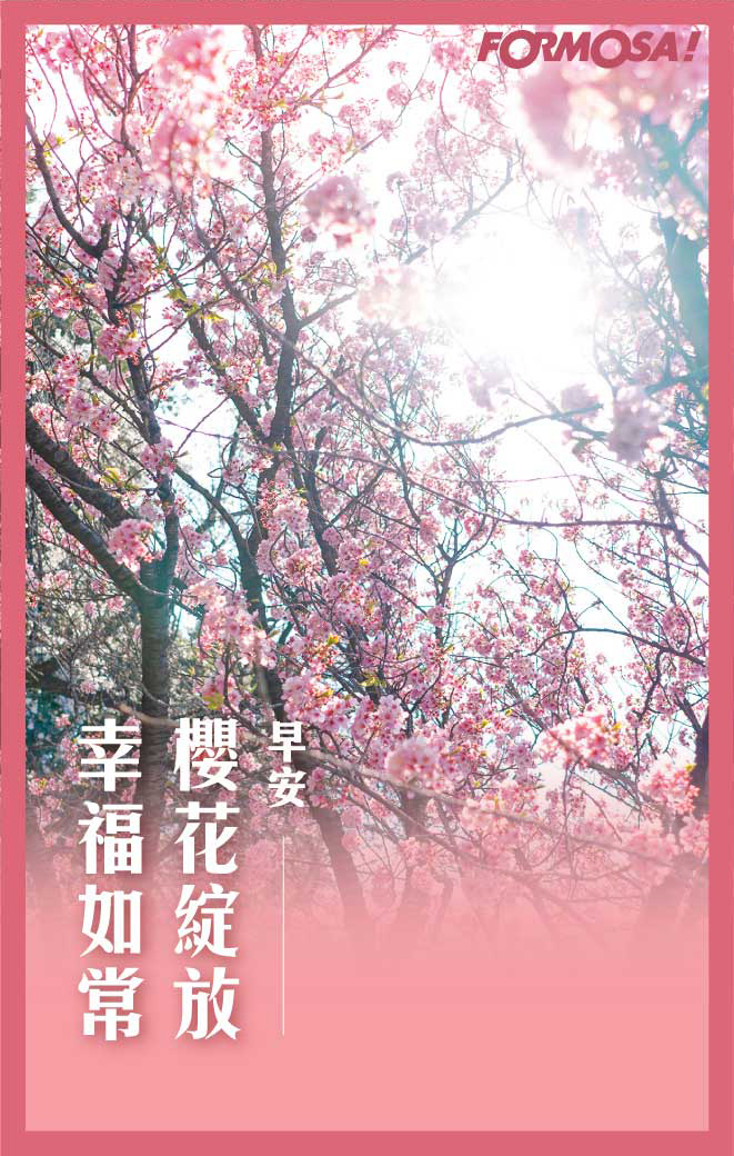 LINE日常問候圖免費下載-FORMOSA!貼圖酷