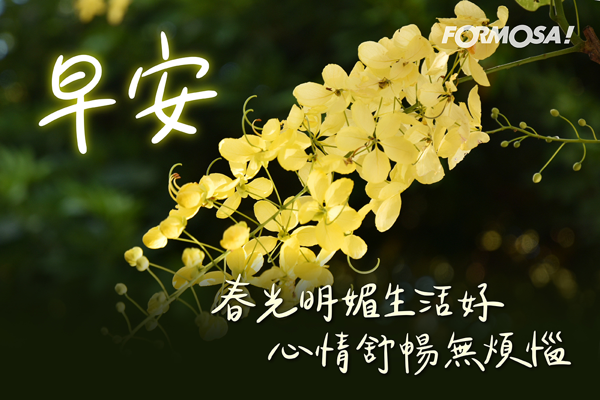 早安圖！LINE貼圖免費下載-FORMOSA！貼圖酷