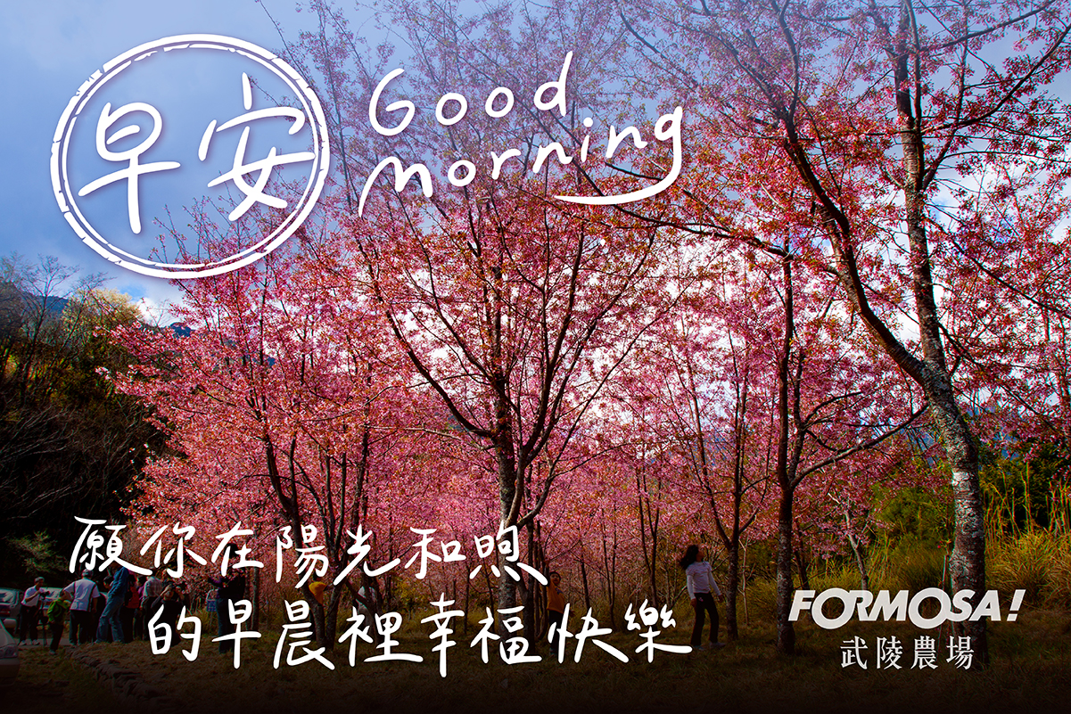 早安圖2023！LINE貼圖免費下載-FORMOSA！貼圖酷