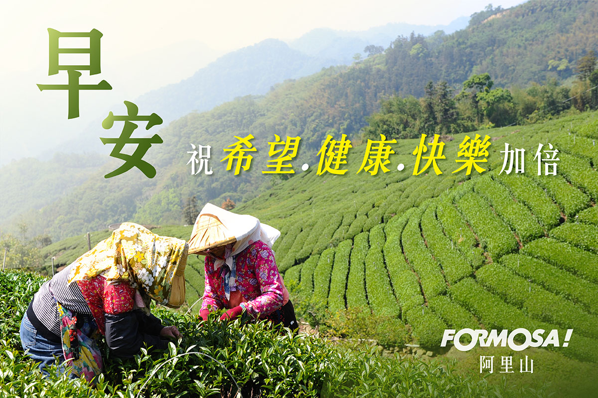 早安圖！LINE貼圖免費下載-FORMOSA！貼圖酷