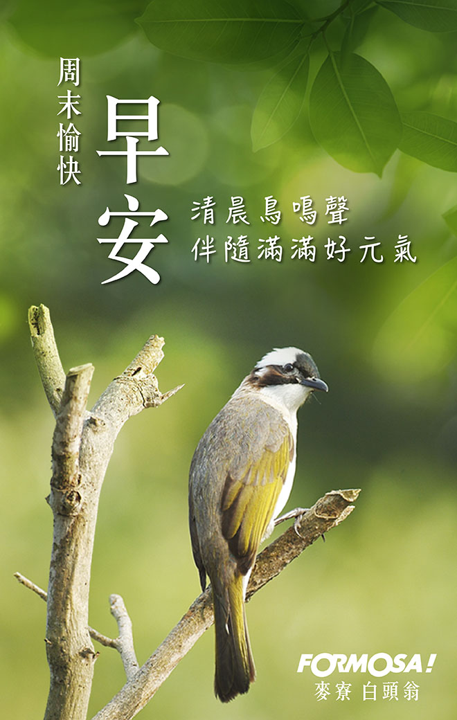 長輩圖！LINE長輩圖免費下載-FORMOSA！貼圖酷