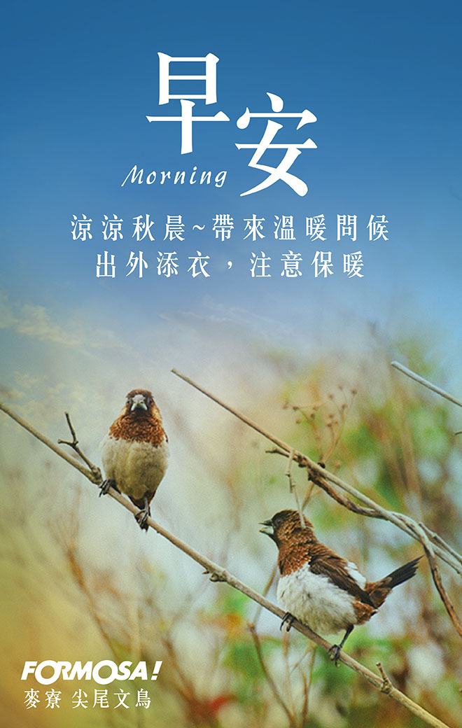 長輩圖！LINE長輩圖免費下載-FORMOSA！貼圖酷