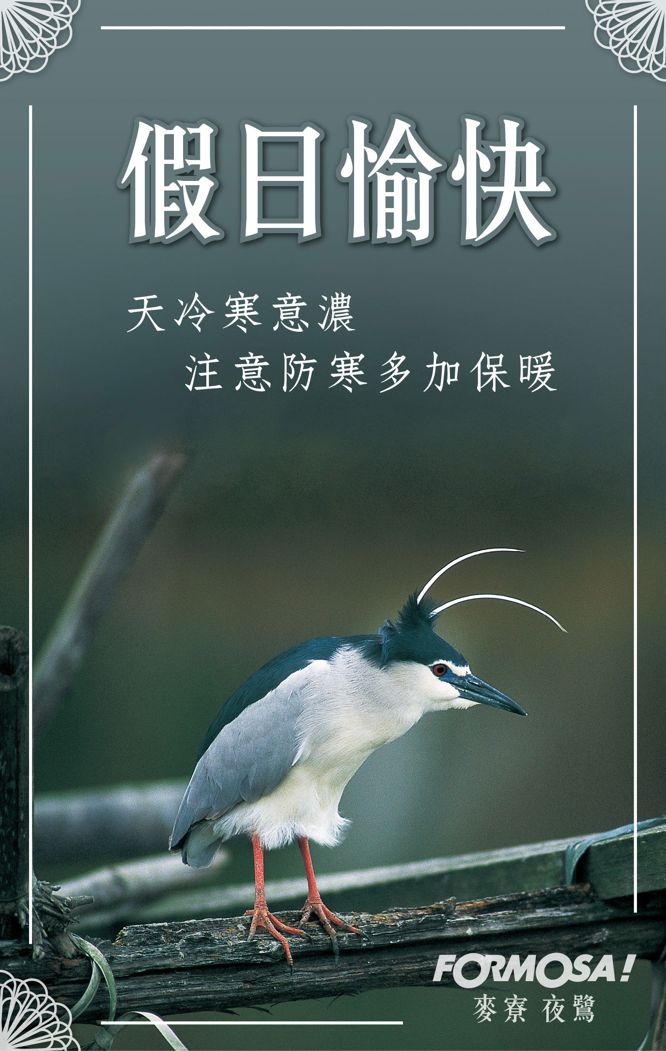 長輩圖！LINE長輩圖免費下載-FORMOSA！貼圖酷