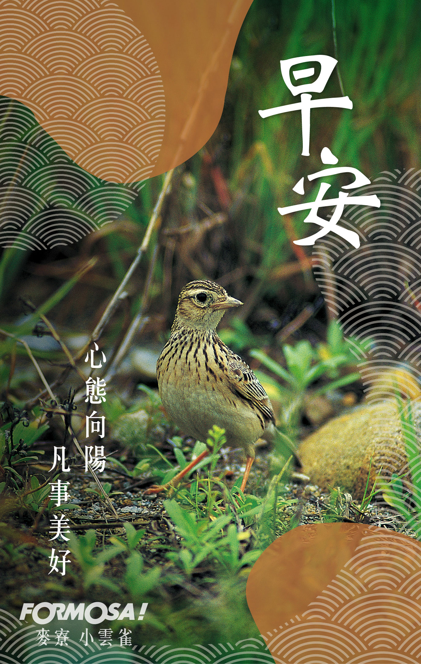 早安圖！LINE貼圖免費下載-FORMOSA！貼圖酷