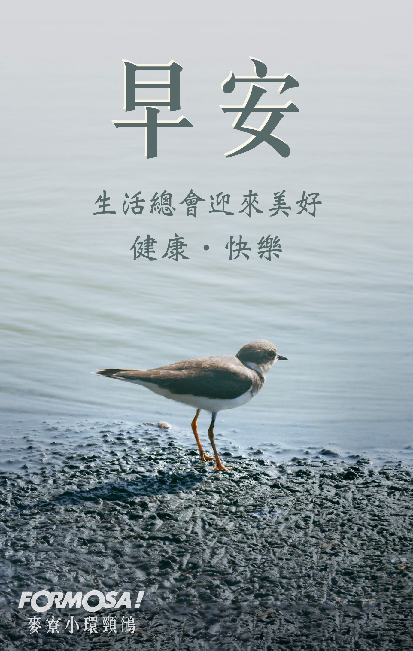 早安圖2023！LINE貼圖免費下載-FORMOSA！貼圖酷