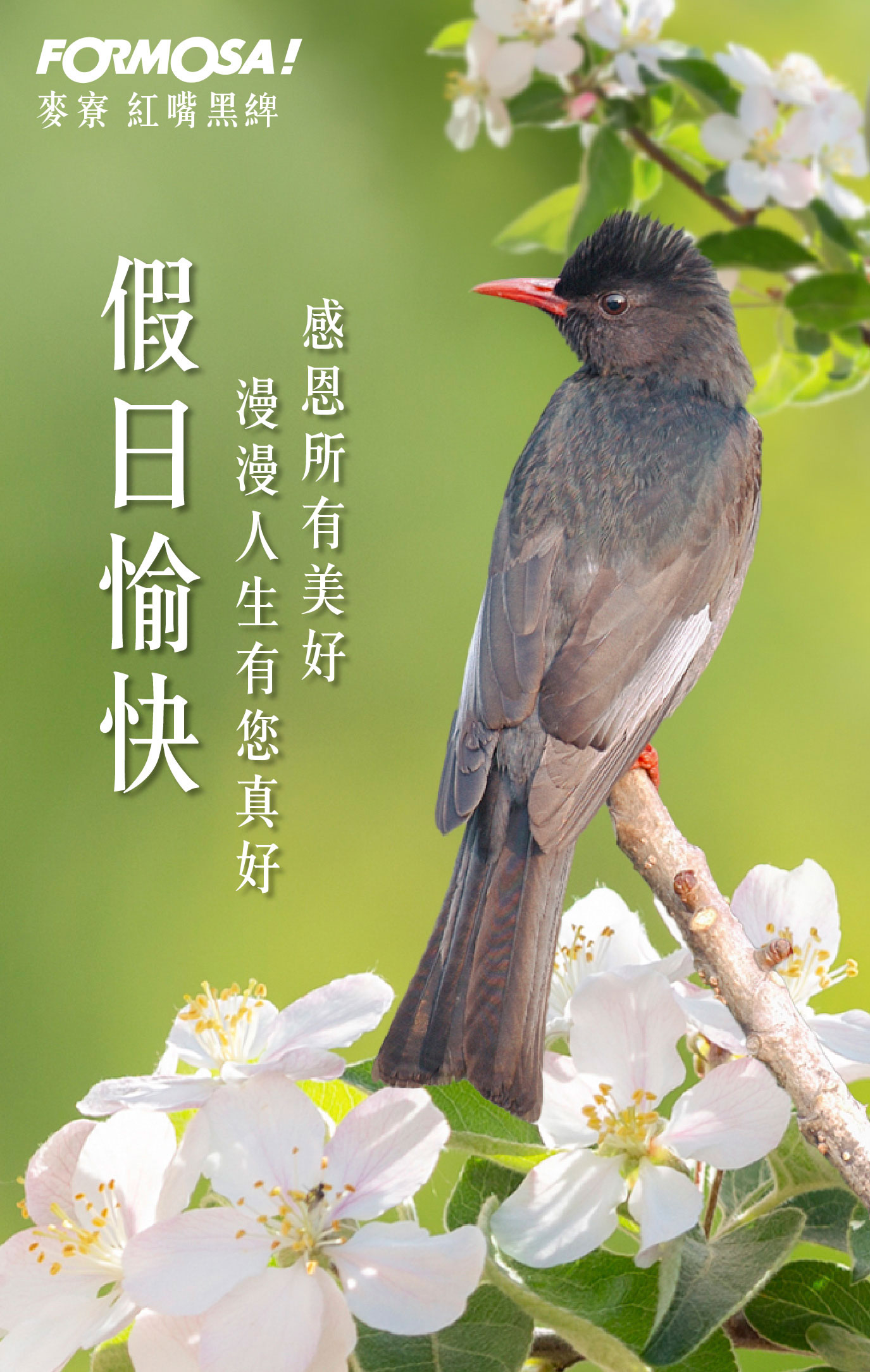 長輩圖！LINE長輩圖免費下載-FORMOSA！貼圖酷