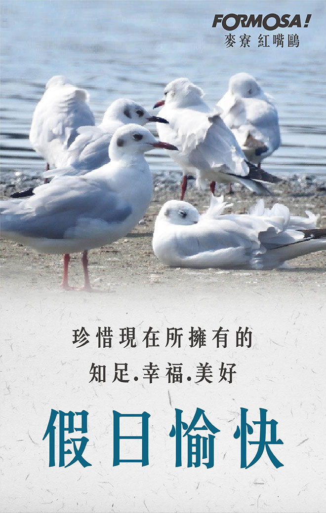 假日愉快早安圖！LINE貼圖免費下載-FORMOSA！貼圖酷