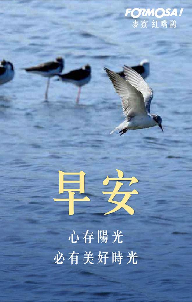 早安圖！LINE貼圖免費下載-FORMOSA！貼圖酷