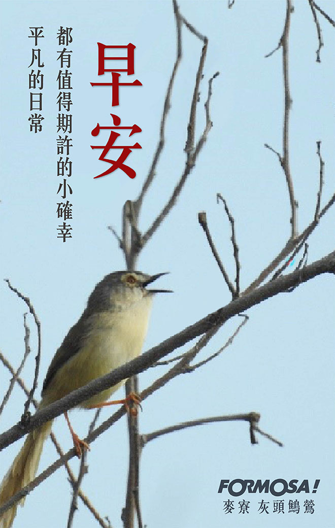早安圖！LINE貼圖免費下載-FORMOSA！貼圖酷