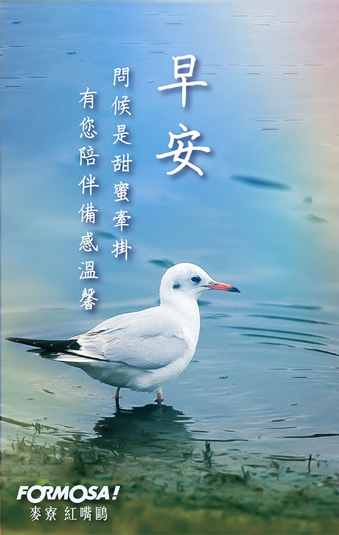 早安圖！LINE貼圖免費下載-FORMOSA！貼圖酷