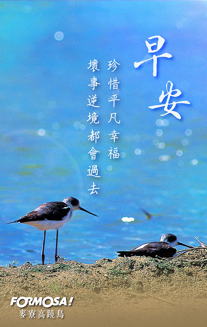 早安圖！LINE貼圖免費下載-FORMOSA！貼圖酷