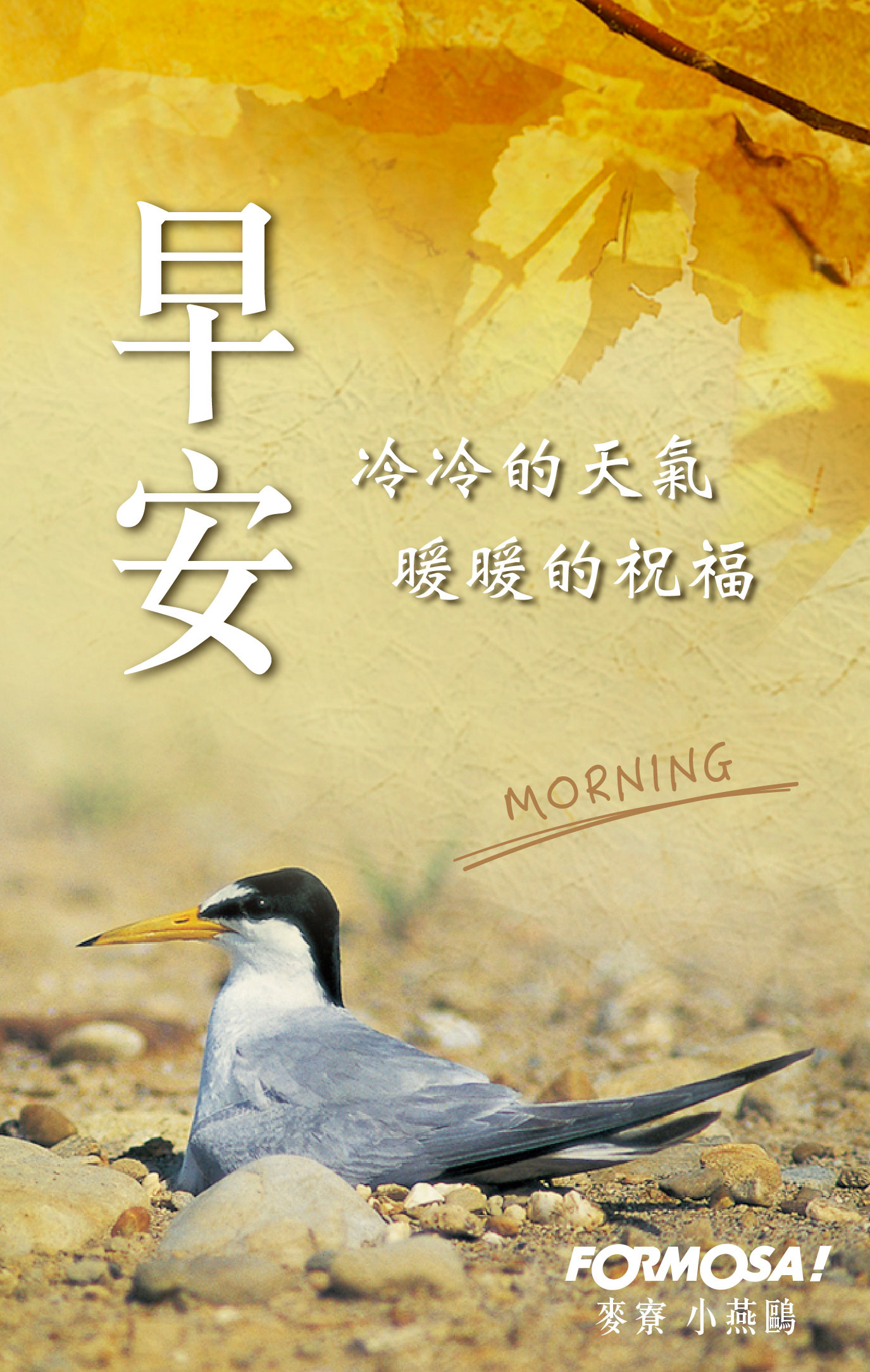 早安圖！LINE貼圖免費下載-FORMOSA！貼圖酷
