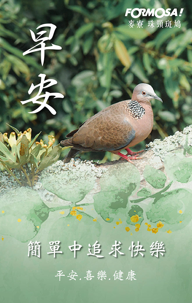 早安圖！LINE貼圖免費下載-FORMOSA！貼圖酷