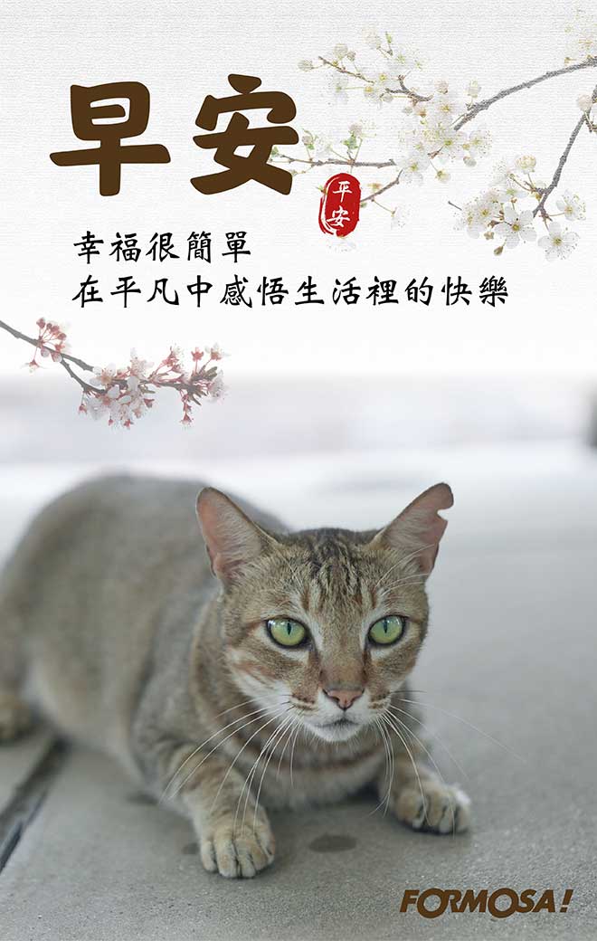 早安圖！LINE貼圖免費下載-FORMOSA！貼圖酷