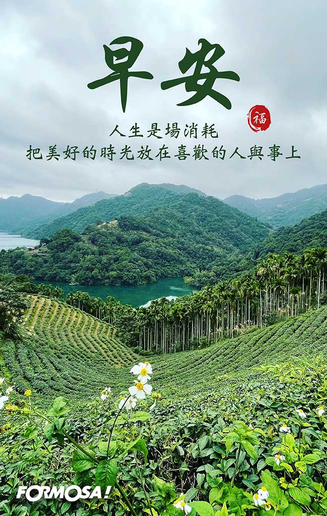 LINE日常問候圖免費下載-FORMOSA!貼圖酷
