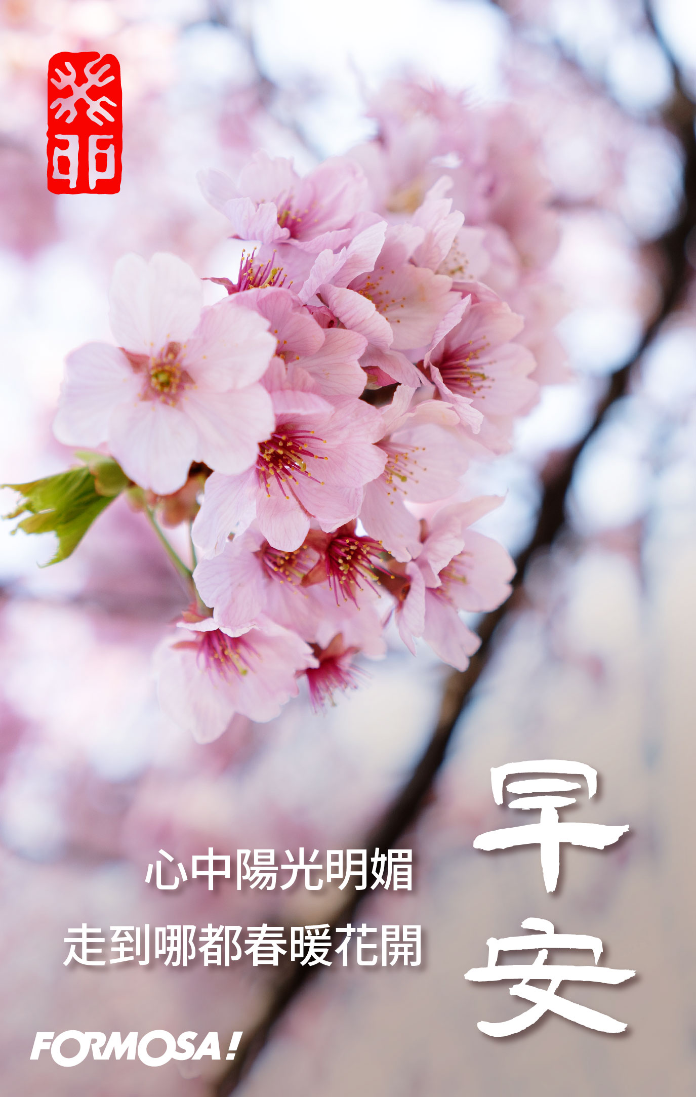 LINE日常問候圖免費下載-FORMOSA!貼圖酷