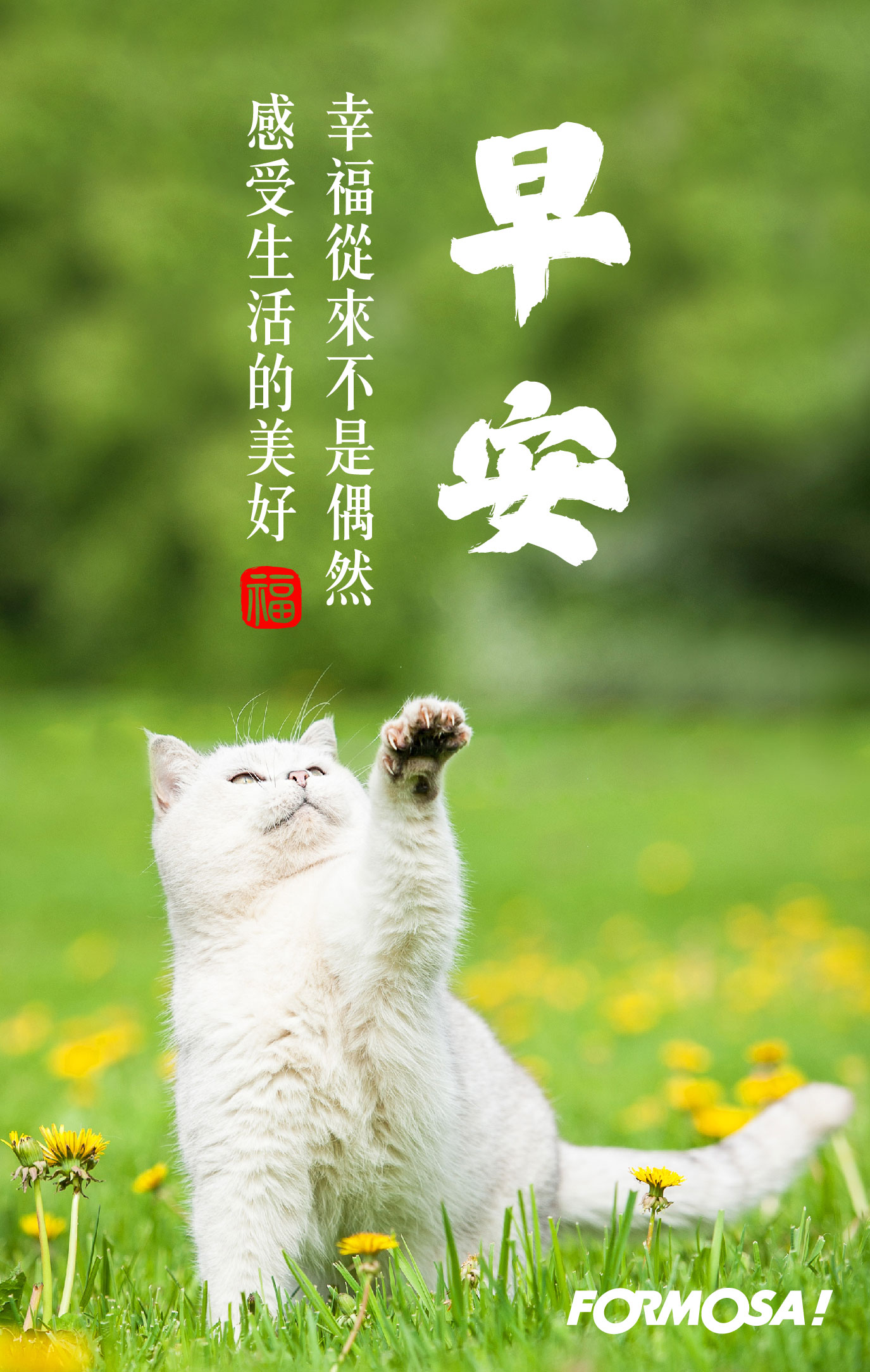 LINE日常問候圖免費下載-FORMOSA!貼圖酷