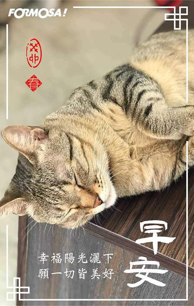 早安圖！LINE貼圖免費下載-FORMOSA！貼圖酷