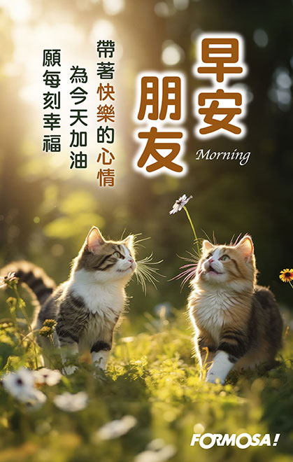 早安問候圖！LINE長輩圖免費下載-FORMOSA!貼圖酷