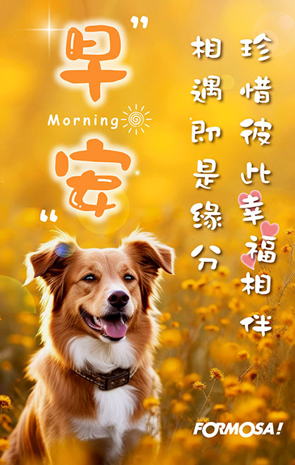早安問候圖！LINE長輩圖免費下載-FORMOSA!貼圖酷