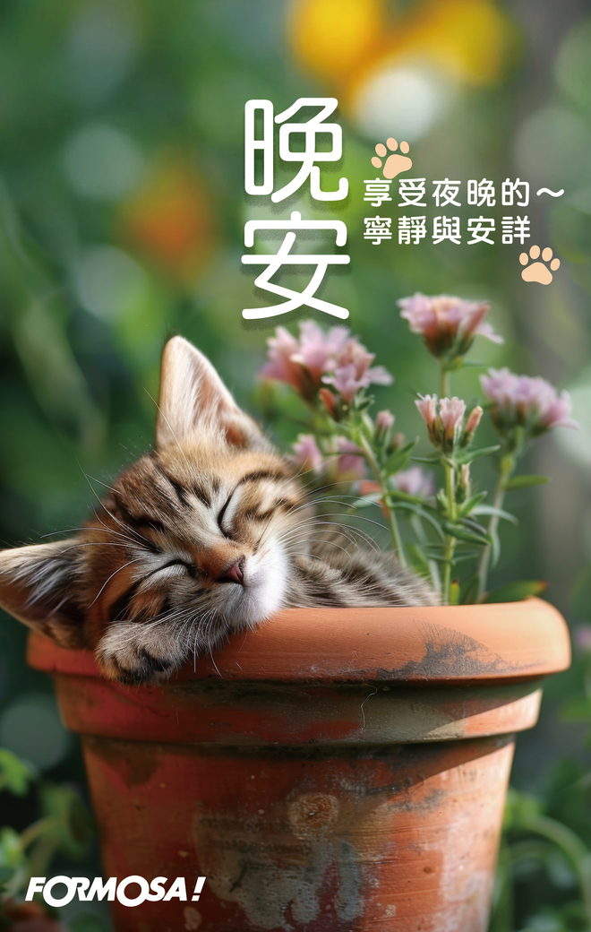 早安問候圖！LINE長輩圖免費下載-FORMOSA!貼圖酷