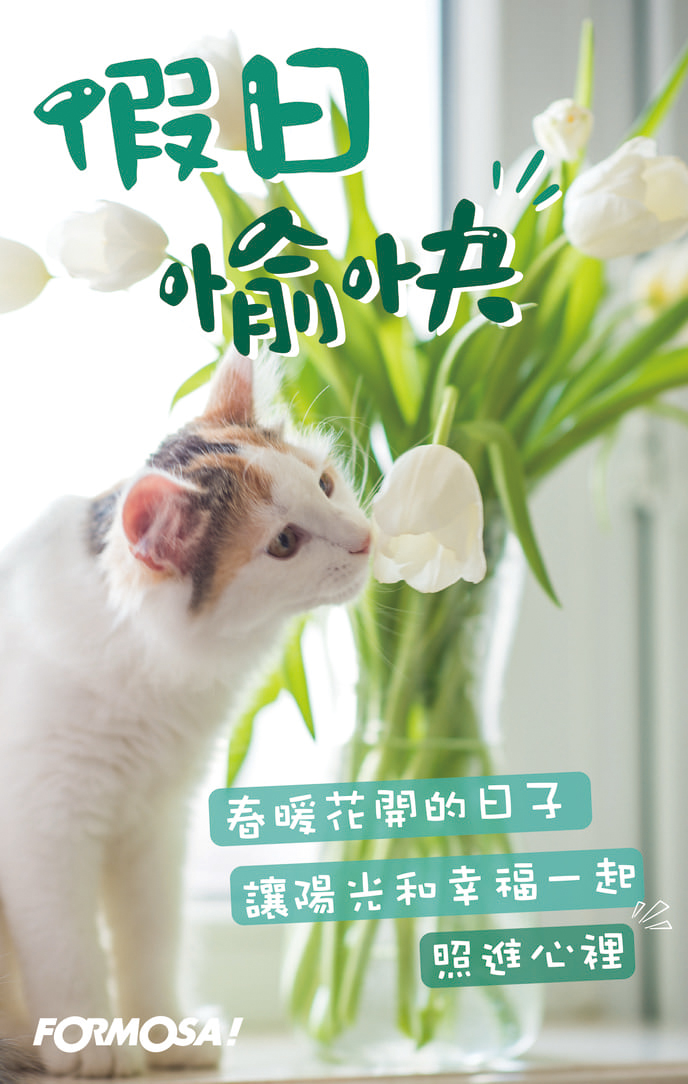 長輩早安圖｜溫馨問候圖卡免費下載【FORMOSA!貼圖酷】