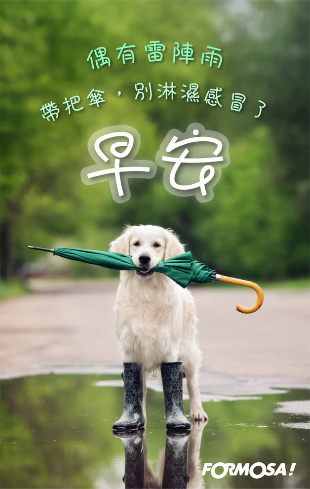 長輩早安圖｜溫馨問候圖卡免費下載【FORMOSA!貼圖酷】