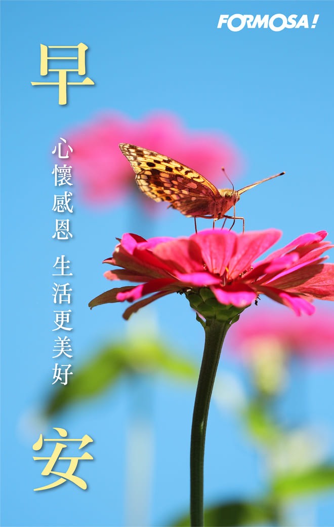 長輩早安圖｜溫馨問候圖卡免費下載【FORMOSA!貼圖酷】