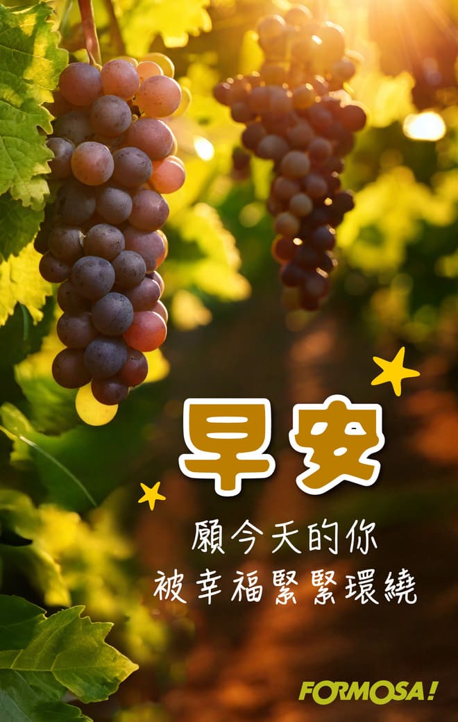 長輩早安圖｜溫馨問候圖卡免費下載【FORMOSA!貼圖酷】