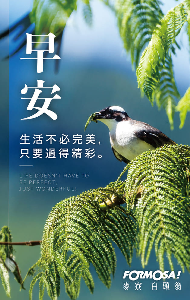 長輩早安圖免費下載｜最新溫馨問候圖卡、祝福貼圖【FORMOSA!貼圖酷】