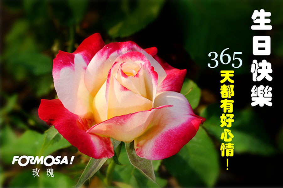 生日快樂貼圖！LINE貼圖免費下載-FORMOSA！貼圖酷